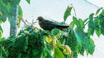 🤩 득템 찬스! 귀여움 폭발 동물물뿌리개 후기 & 꿀팁 대방출! 🌱
