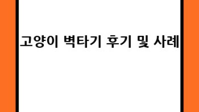 고양이 벽타기: 고수가 되는 길