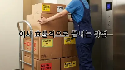 이사, 효율적으로 끝내는 방법!