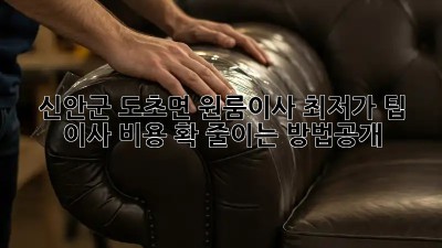신안군 도초면 원룸이사 최저가 팁! 💸 이사 비용 확 줄이는 방법大공개!