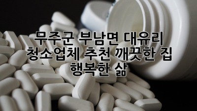 무주군 부남면 대유리 청소업체 추천: 깨끗한 집, 행복한 삶! ✨