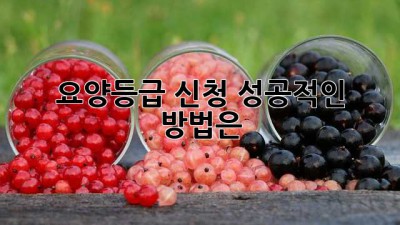 요양등급 신청, 성공적인 방법은?